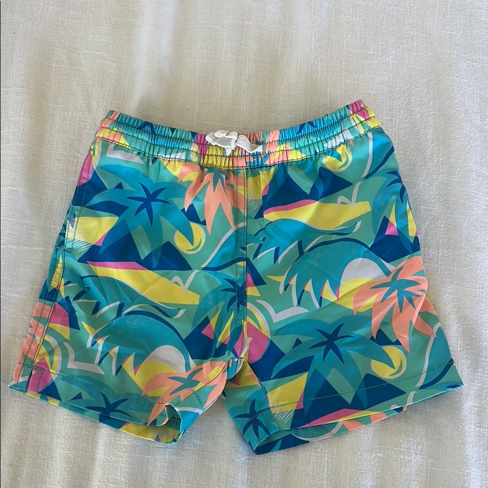 Chubbies Colorful Swim Shorts